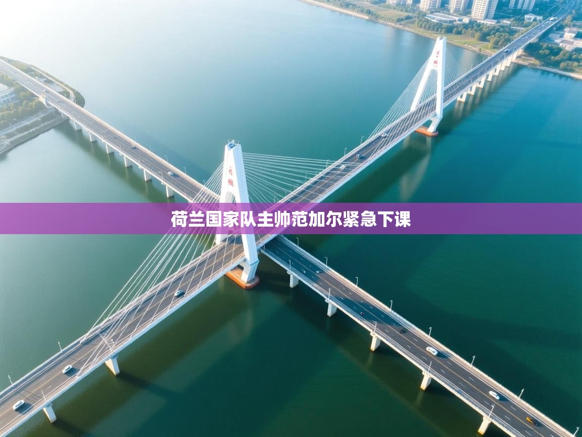 荷兰国家队主帅范加尔紧急下课  第2张