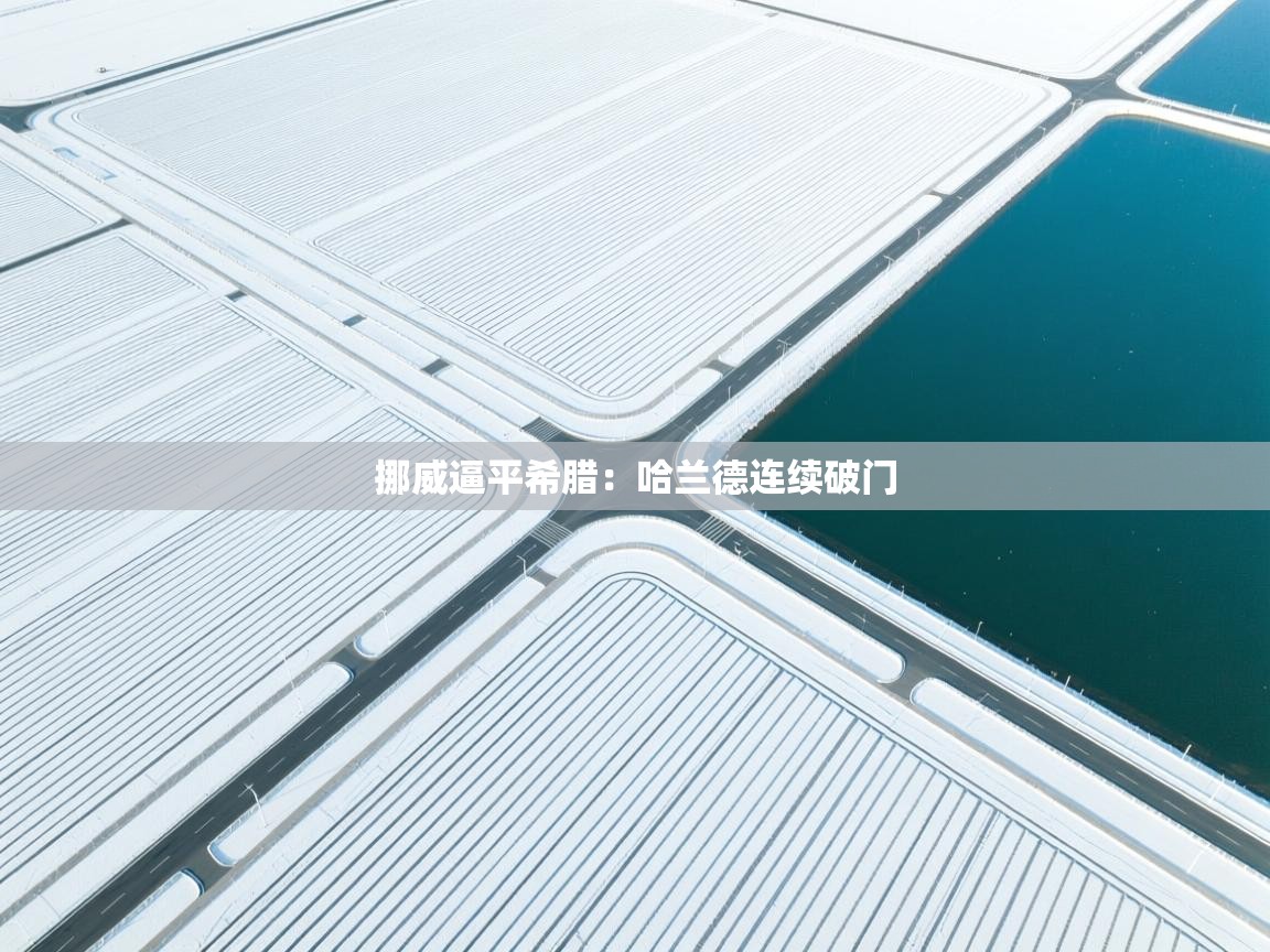 挪威逼平希腊：哈兰德连续破门  第2张