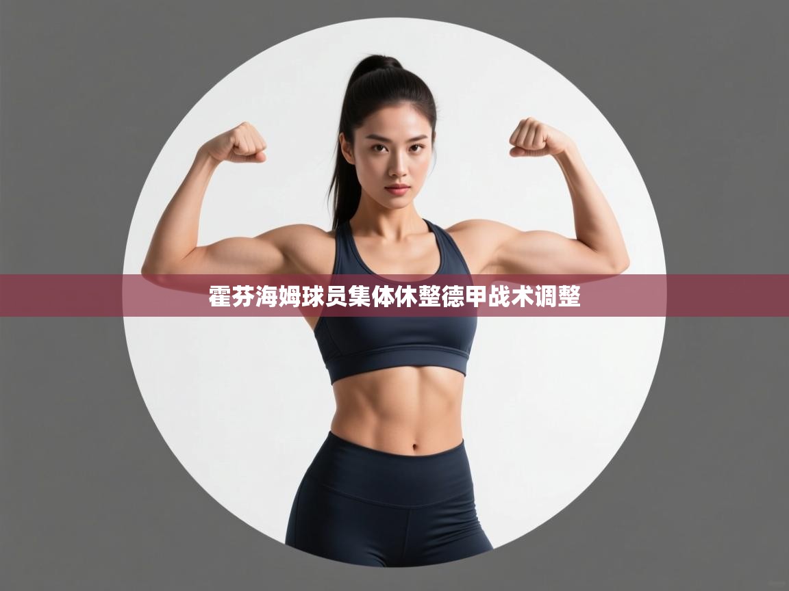 霍芬海姆球员集体休整德甲战术调整 第2张